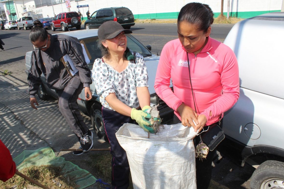 Mejora Toluca imagen urbana con jornadas sabatinas de limpieza
