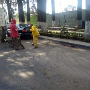 Se realizan trabajos de mantenimiento en parques, jardines y camellones de Toluca