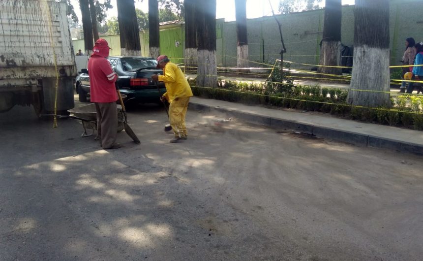 Se realizan trabajos de mantenimiento en parques, jardines y camellones de Toluca