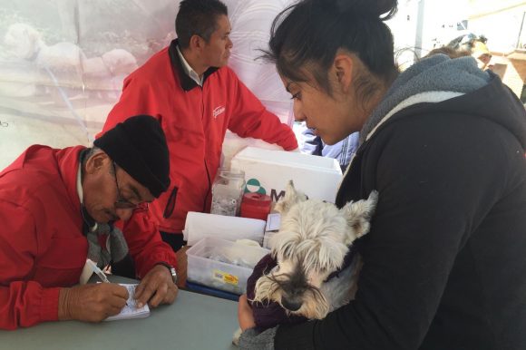 Llega unidad móvil a La Cruz Comalco para esterilizar y vacunar perros y gatos