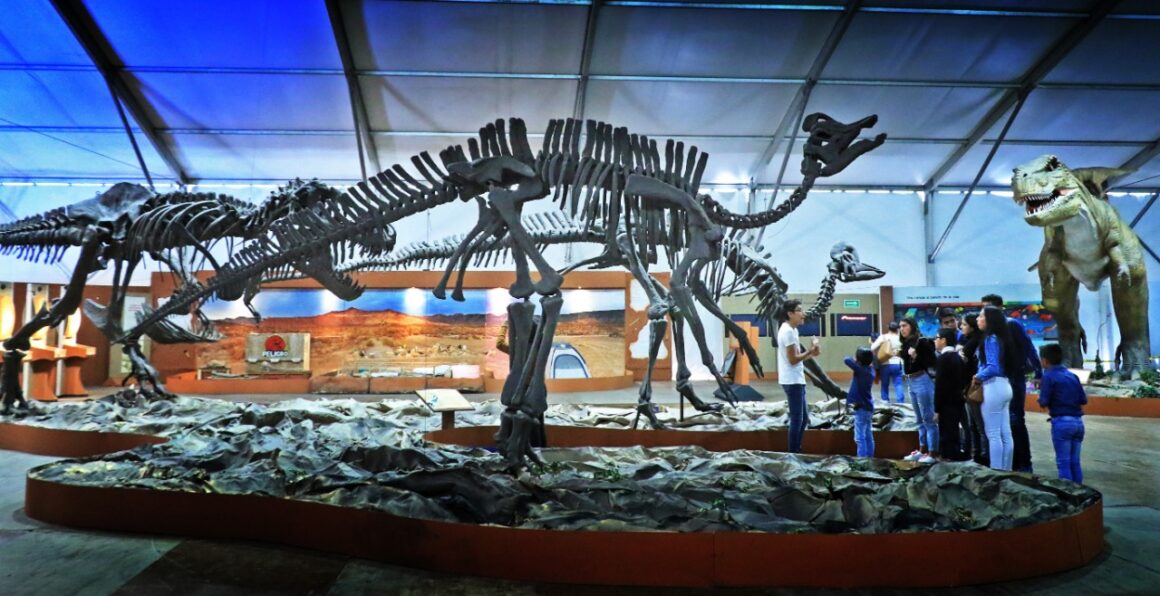 Dinosaurios cobran vida en Toluca y esperan visita de las familias