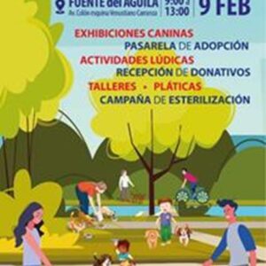 Invita Toluca a festejar el primer aniversario de “Regala Un Paseo”
