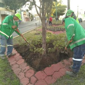 Continúan acciones de limpieza en parques y jardines de Toluca