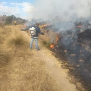 Brigada Forestal de Toluca intensifica tareas de prevención y combate de incendios