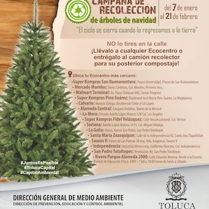 Continúa campaña de recolección de árboles naturales de navidad