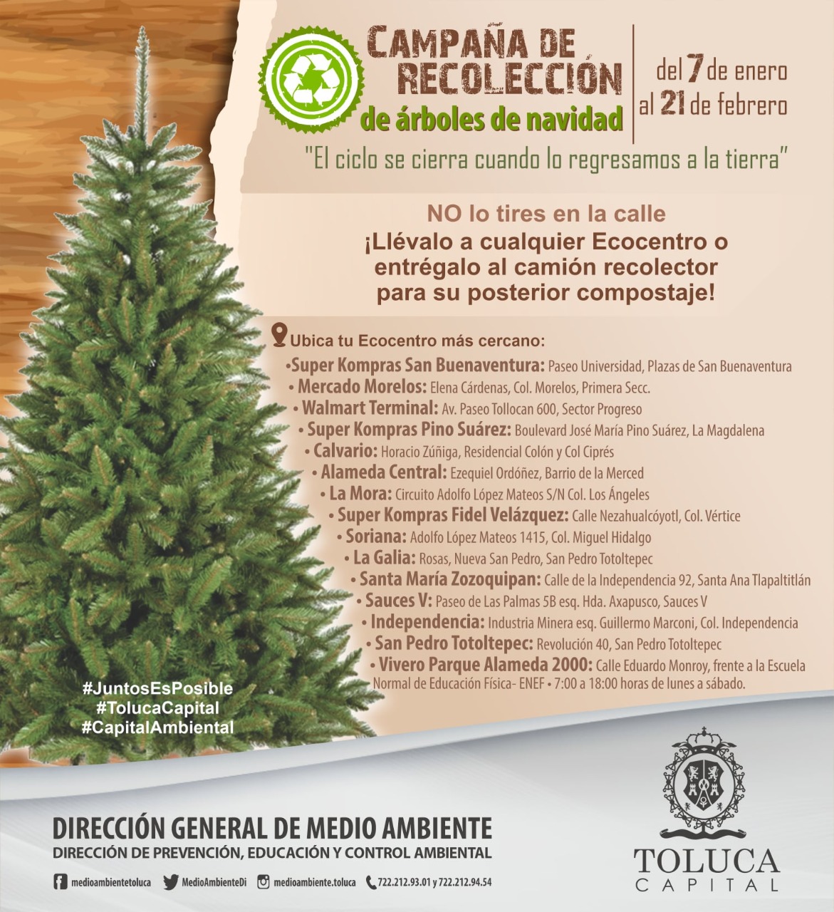Inicia Toluca campaña de acopio de árboles naturales de navidad -  Ayuntamiento de Toluca