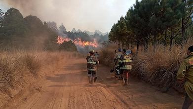 Actualización: Continúan brigadas de trabajadores combatiendo incendio en Nevado de Toluca y se suman voluntarios
