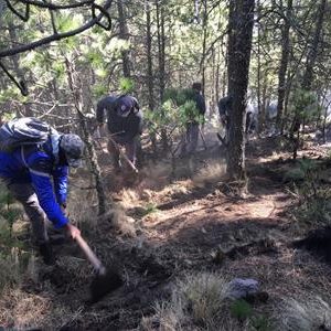 Reconocen gran destreza y dinamismo de la Brigada Forestal de Toluca