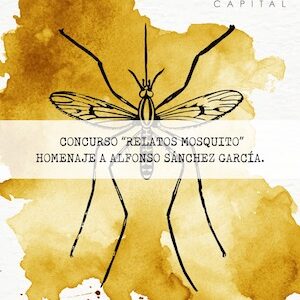 Convoca Toluca a participar en el concurso “Relatos Mosquito”