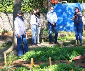 Contribuye Toluca en la generación de servicios ambientales con huerto temático y jardines polinizadores
