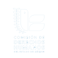 Comisión de Derechos Humanos del Estado de México