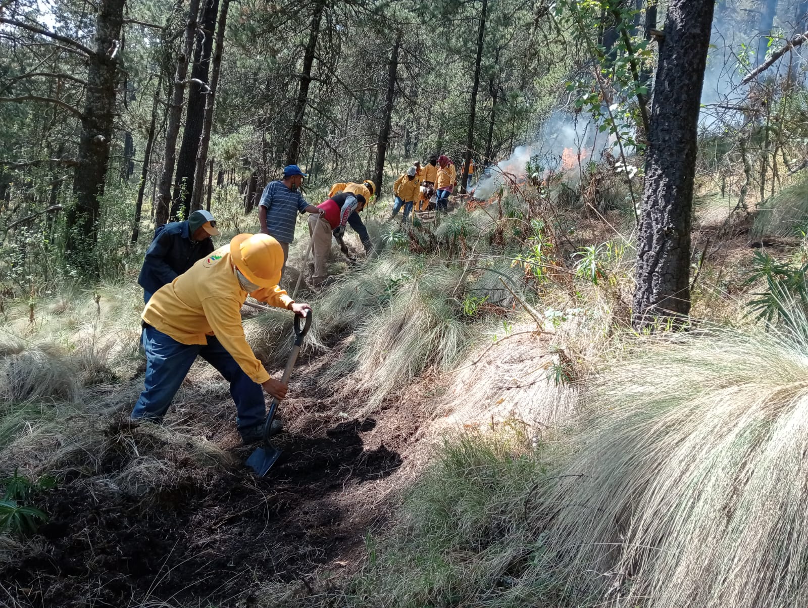 Emite Toluca recomendaciones para prevenir incendios forestales