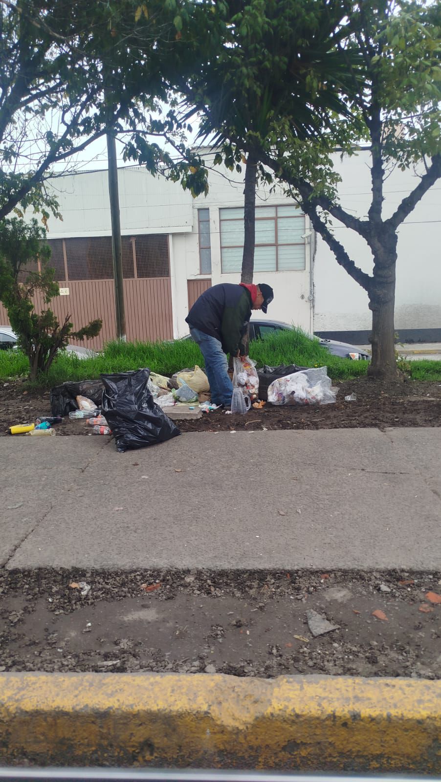 Suman ocho sancionados por tirar basura en vía pública en Toluca