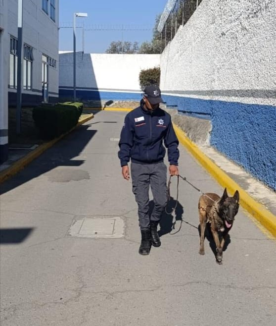 Anuncia Ricardo Moreno nueva sede del Centro de Control y Bienestar Animal en zona norte del municipio