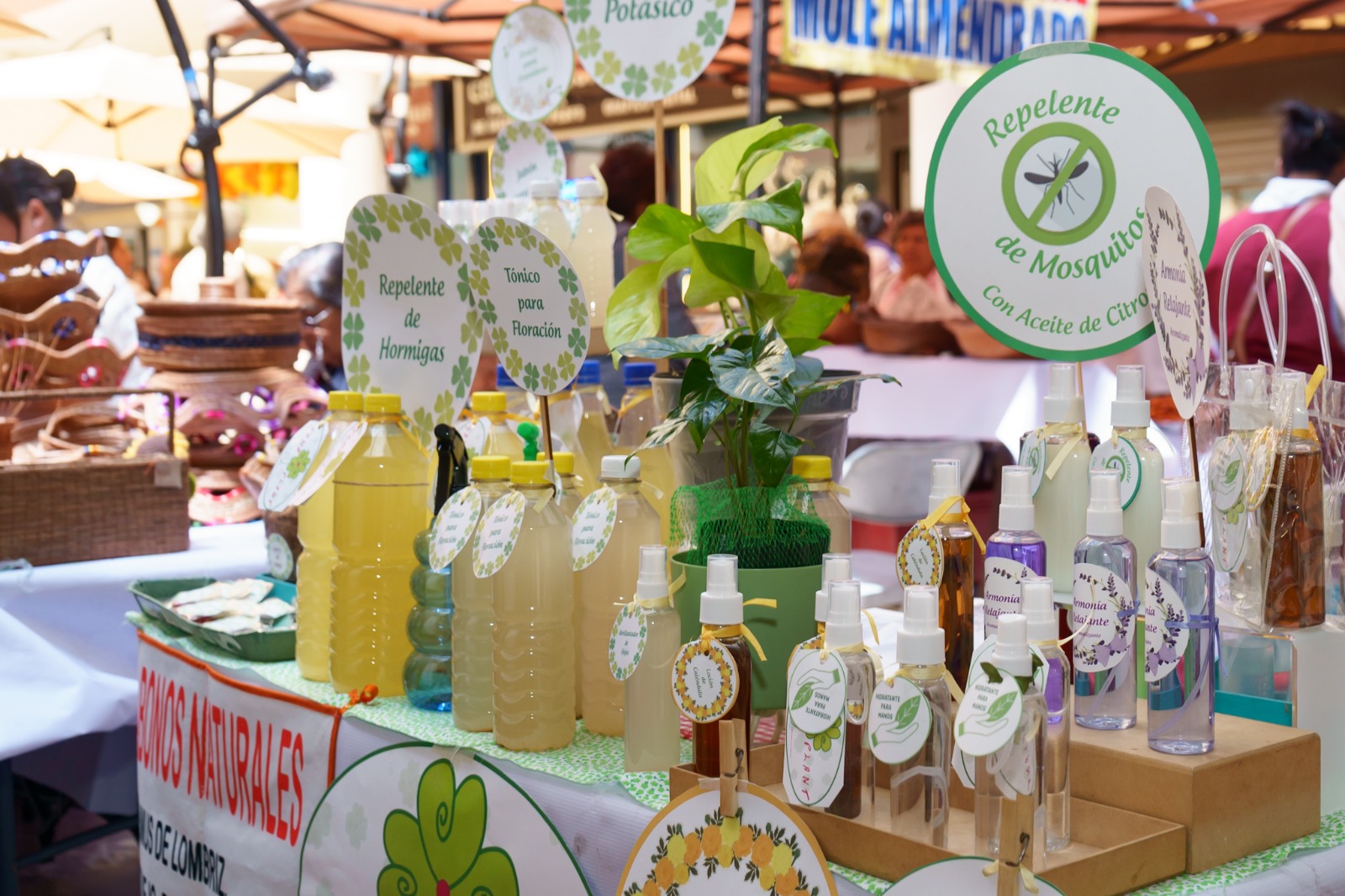Esperan productores a ciudadanía en el EcoBazar DIF Toluca a partir del lunes 28 de julio