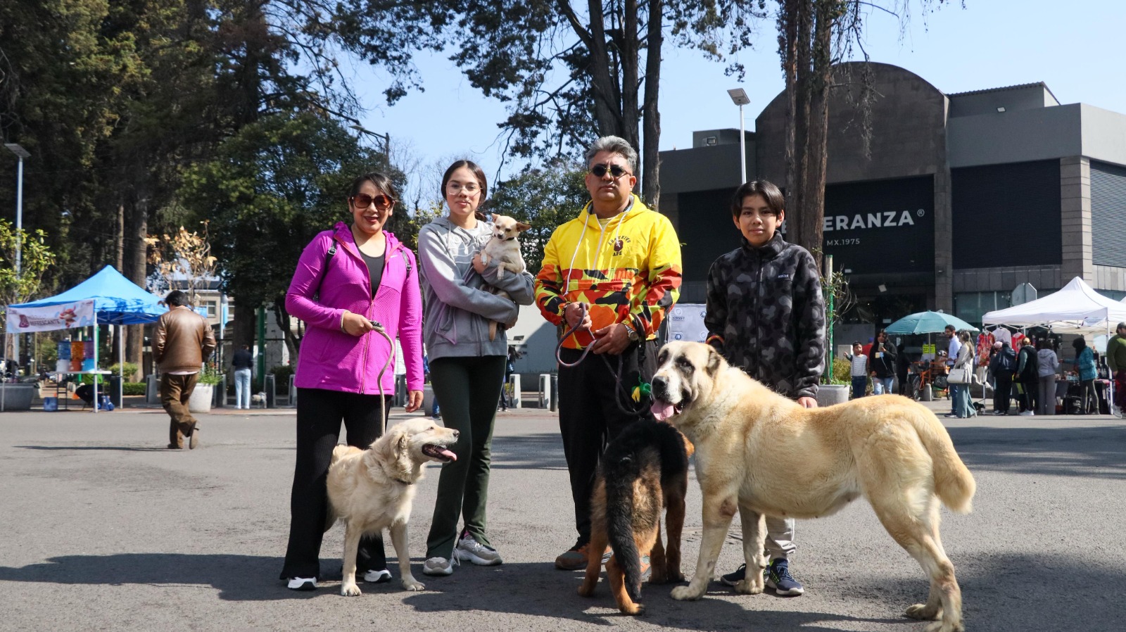 Ampliará Toluca su tradicional paseo dominical hasta Ciudad Universitaria