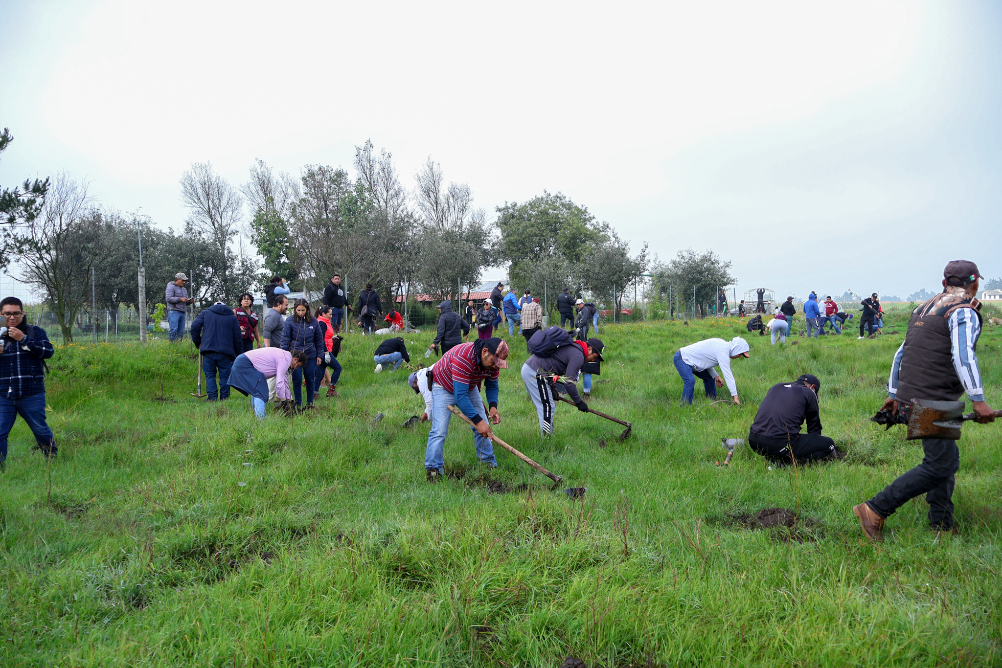 Se pone guapo y verde el Bordo San Elías de Toluca con más de 4 mil árboles