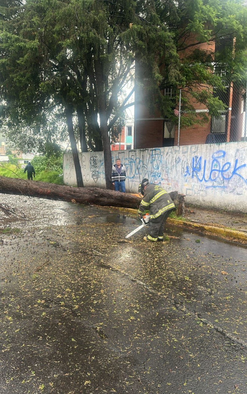 Atiende Toluca afectaciones por lluvia de forma inmediata y mantiene monitoreo