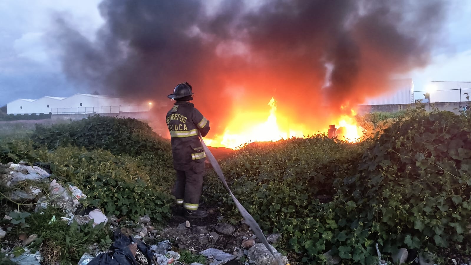 Atiende Bomberos de Toluca incendio en el Carmen Totoltepec y llaman a evitar quemas no controladas