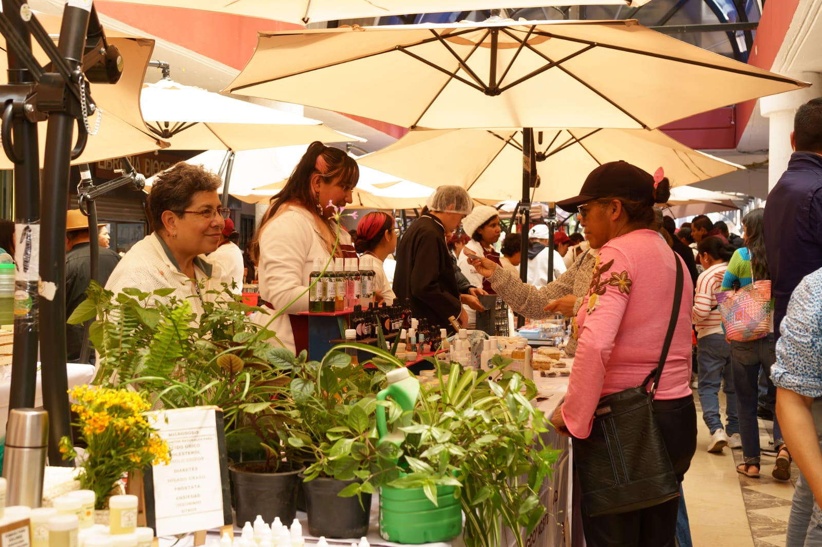Invita Gobierno municipal y DIF Toluca a disfrutar del EcoBazar y la Feria y Festival Cultural Alfeñique 2025