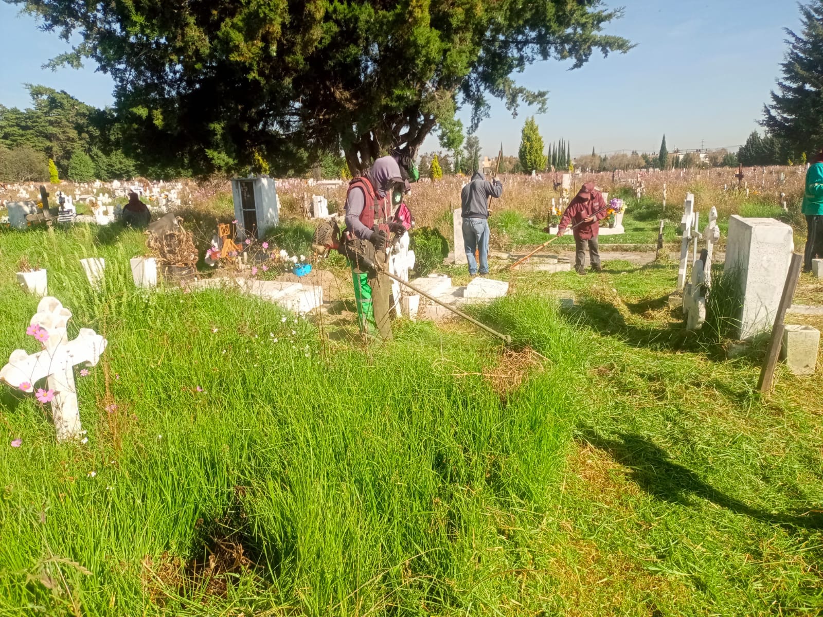 Embellecen trabajadores municipales los panteones toluqueños para honrar la llegada de nuestros antepasados