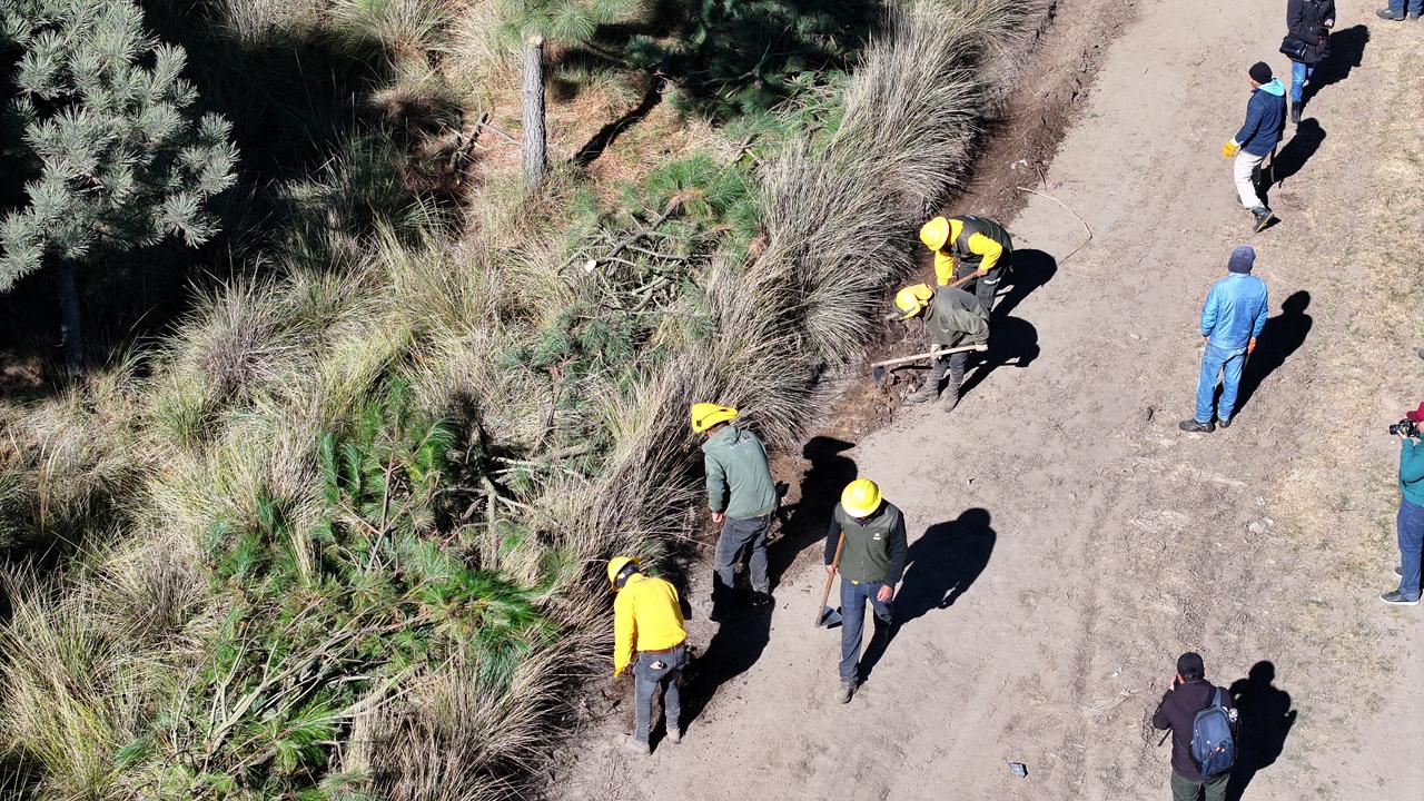 Impulsa alcalde Ricardo Moreno acciones coordinadas para la protección forestal