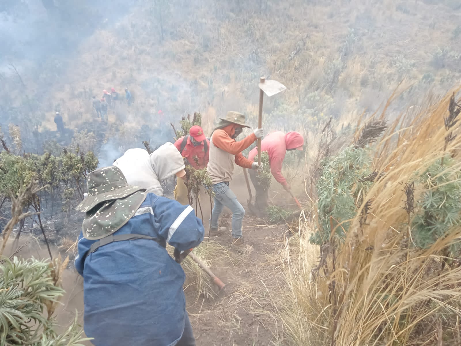Consolida Toluca su brigada forestal por ser un escudo verde para frenar incendios y proteger áreas boscosas