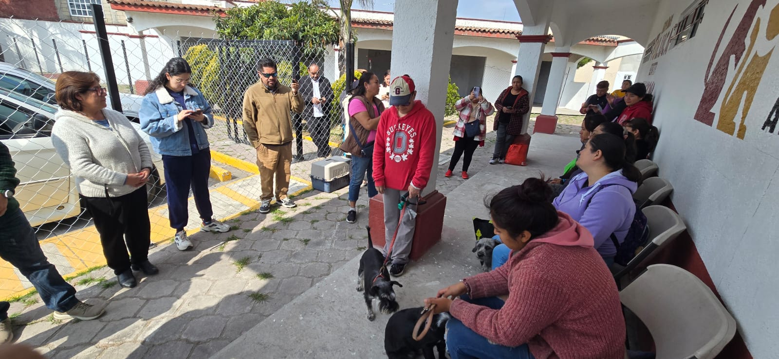 Fortalece Toluca el bienestar animal con más de 750 esterilizaciones y 421 vacunas antirrábicas en 14 días