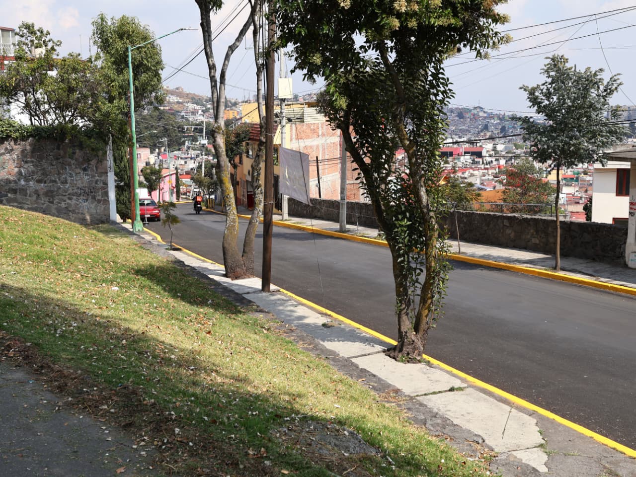 Anuncia Ricardo Moreno la campaña de adopción de árboles más grande del país