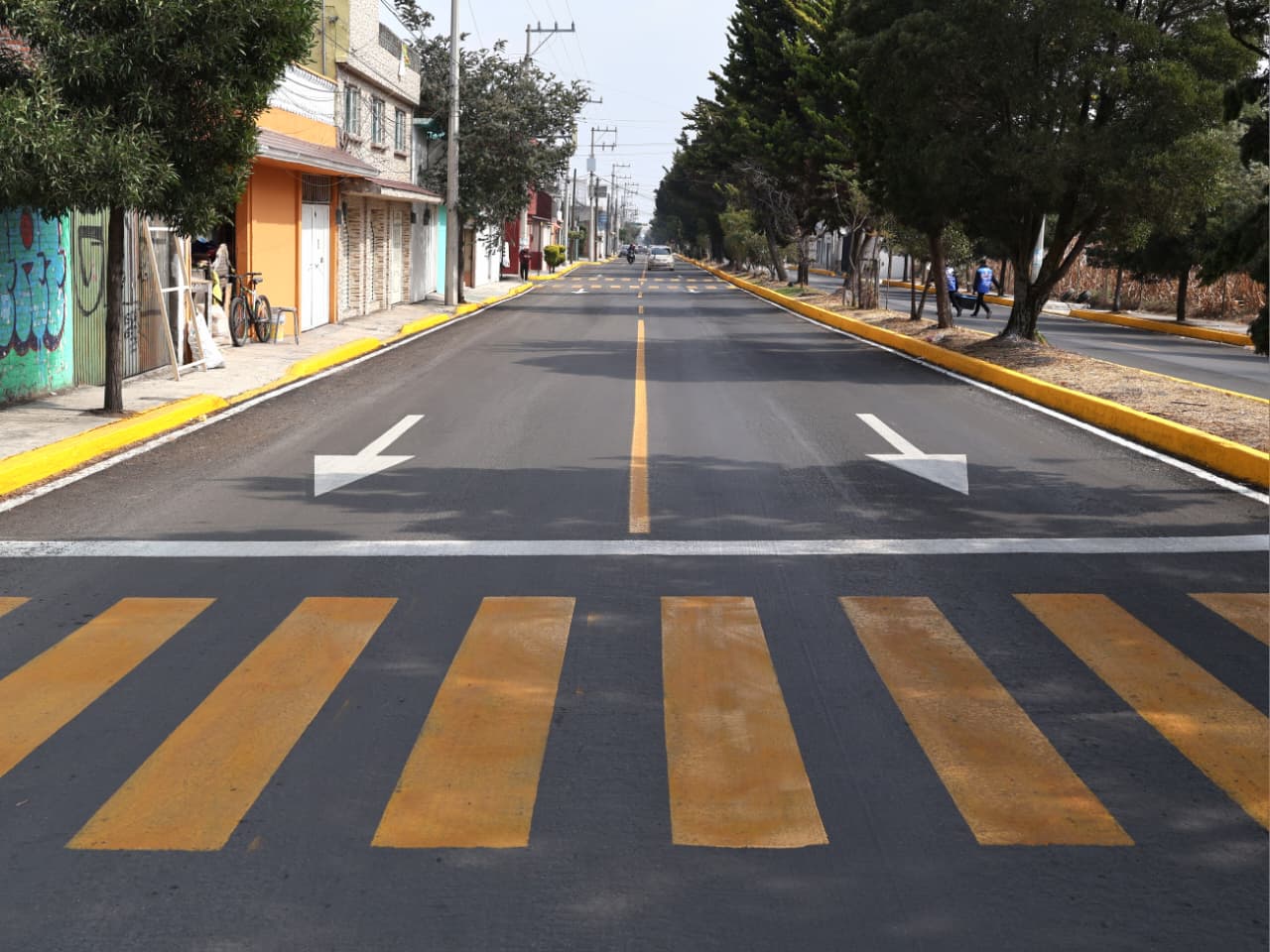 Avanza Toluca en la integración del Atlas Digital de Arbolado Urbano: Ricardo Moreno