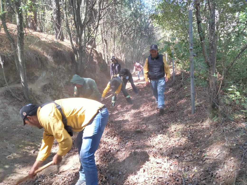 Fortalece Brigada Forestal y Contra Incendios de Toluca acciones para proteger los bosques con brechas cortafuego