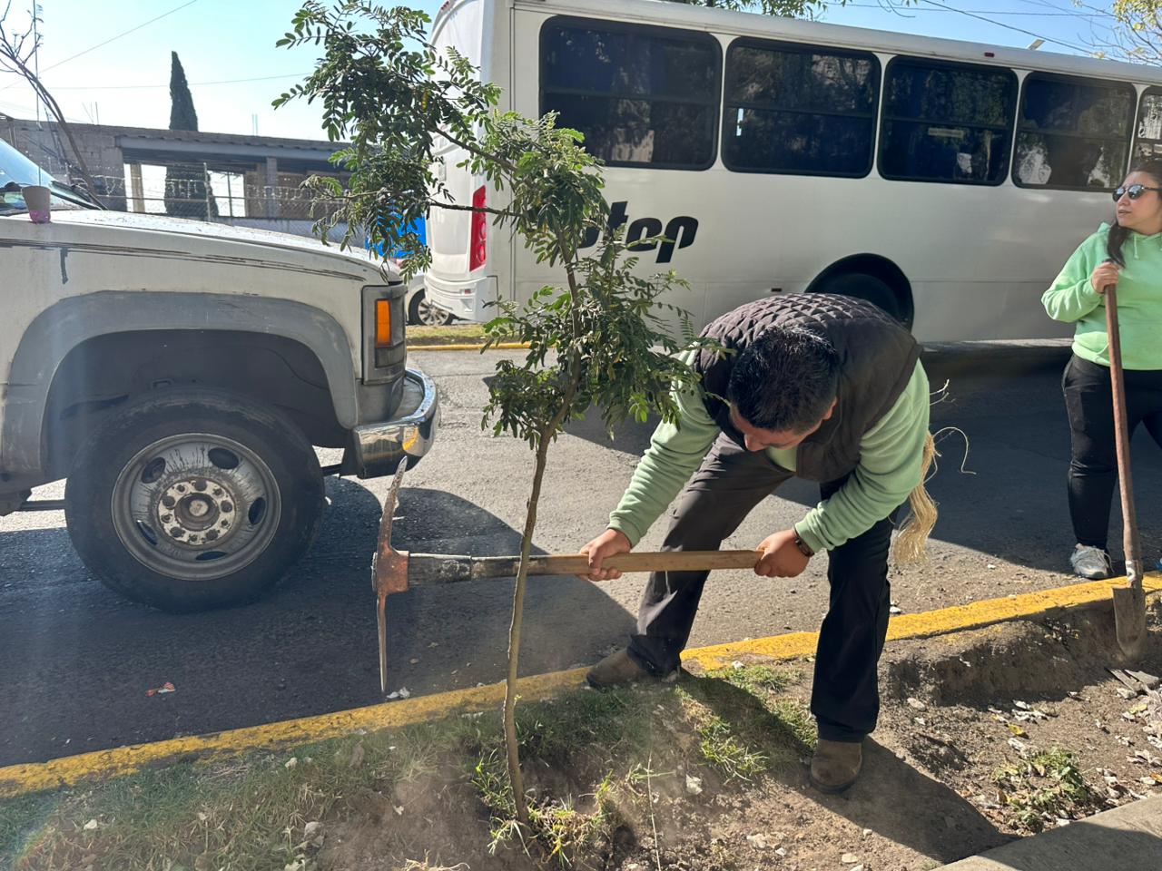 Participan servidores públicos en el mantenimiento del arbolado de Paseo Matlazincas