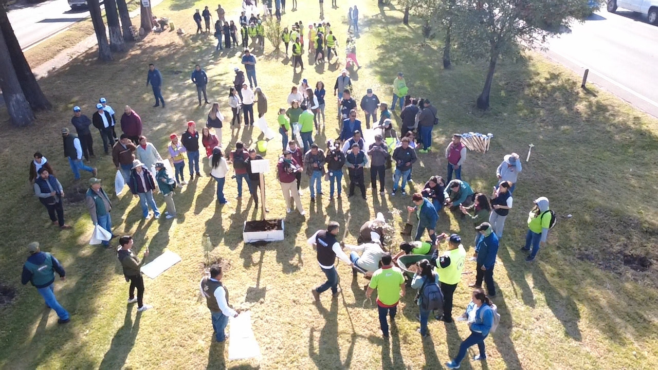 Iniciativa de Ricardo Moreno recupera esplendor de áreas verdes en 6.5 kilómetros de Tollocan
