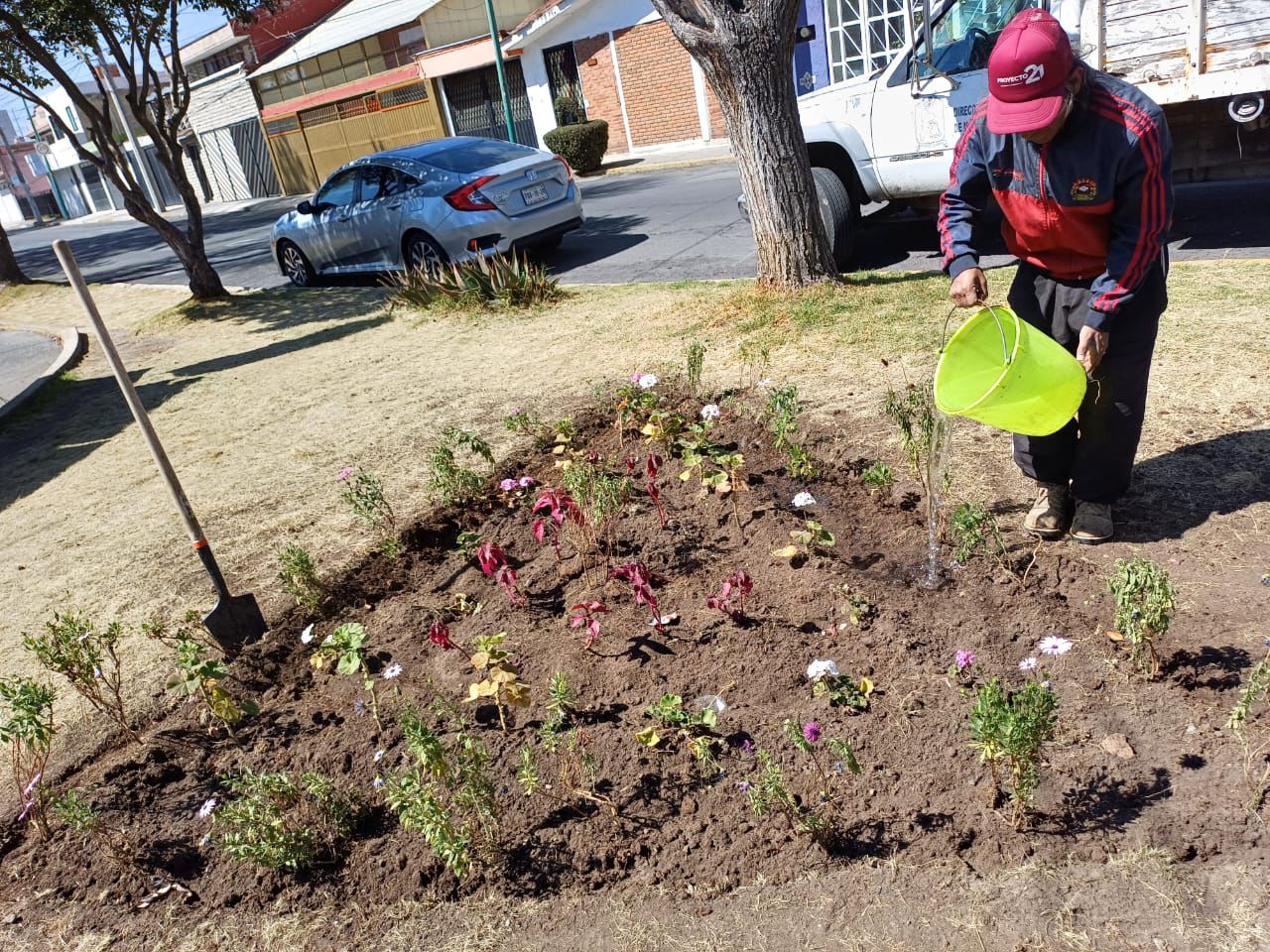Promueve Ricardo Moreno biodiversidad urbana con la instalación de jardines polinizadores