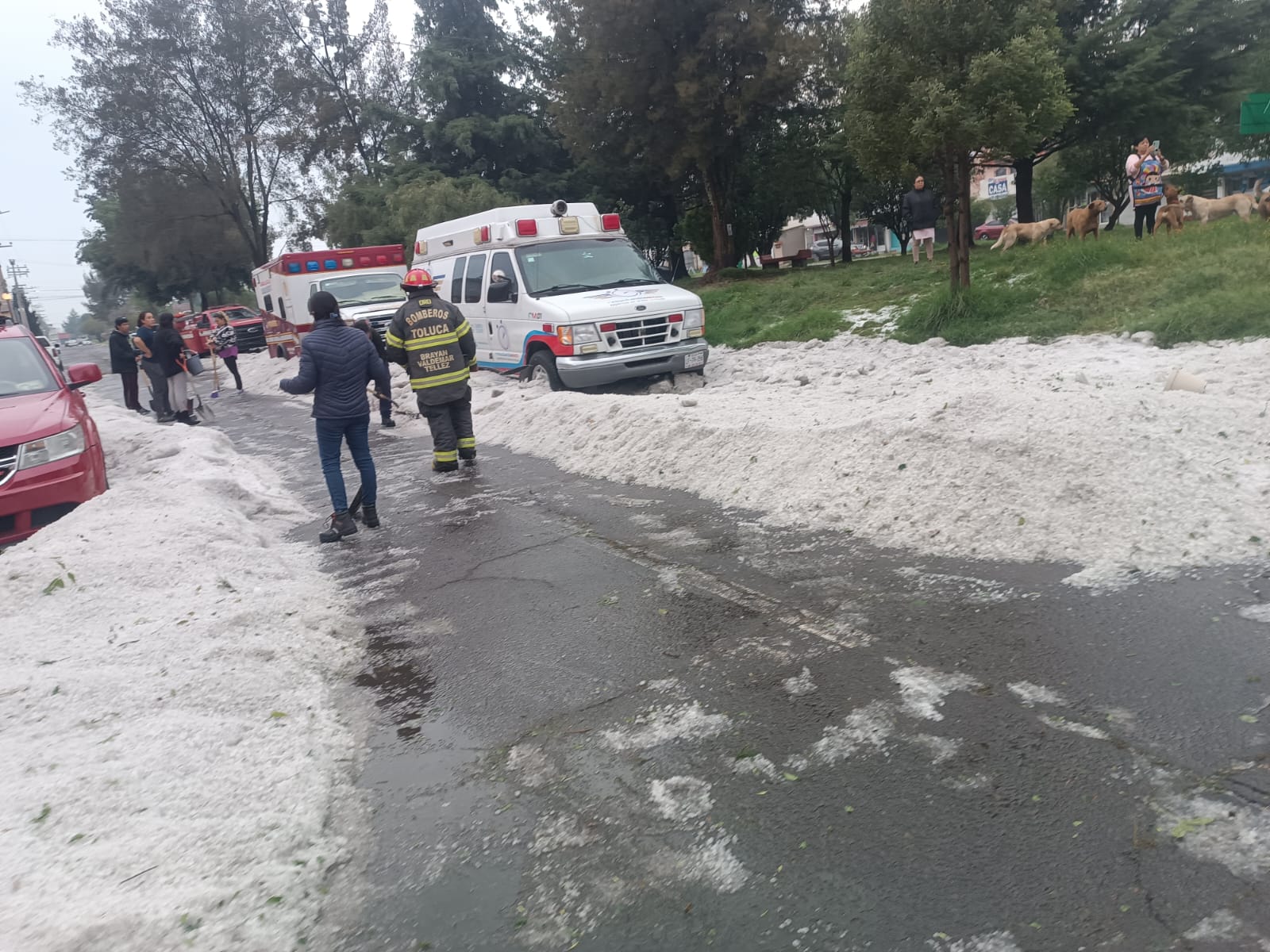Atienden Protección Civil y OAyST afectaciones por granizada en Los Sauces