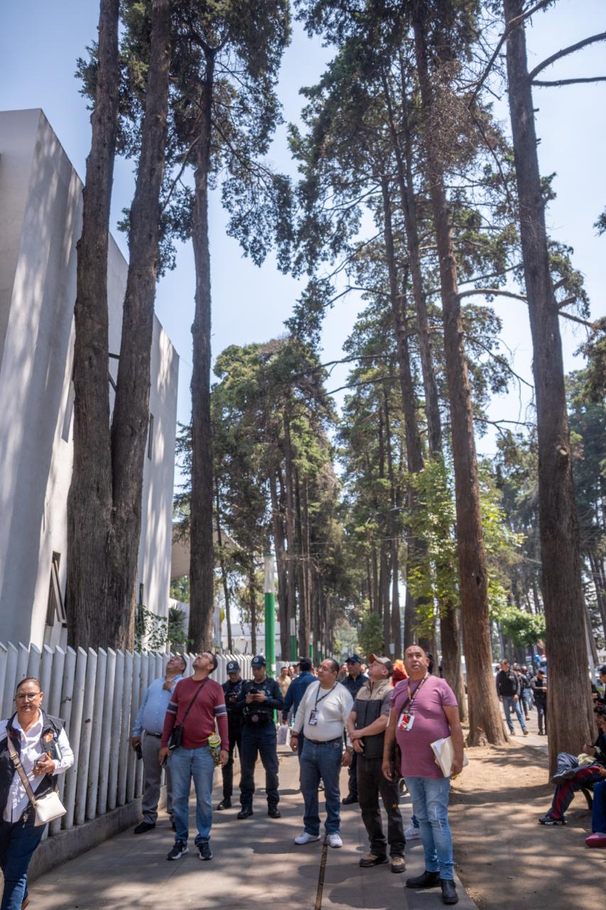 Inicia transformación de Paseo Colón con recuperación del espacio público y con un enfoque humano
