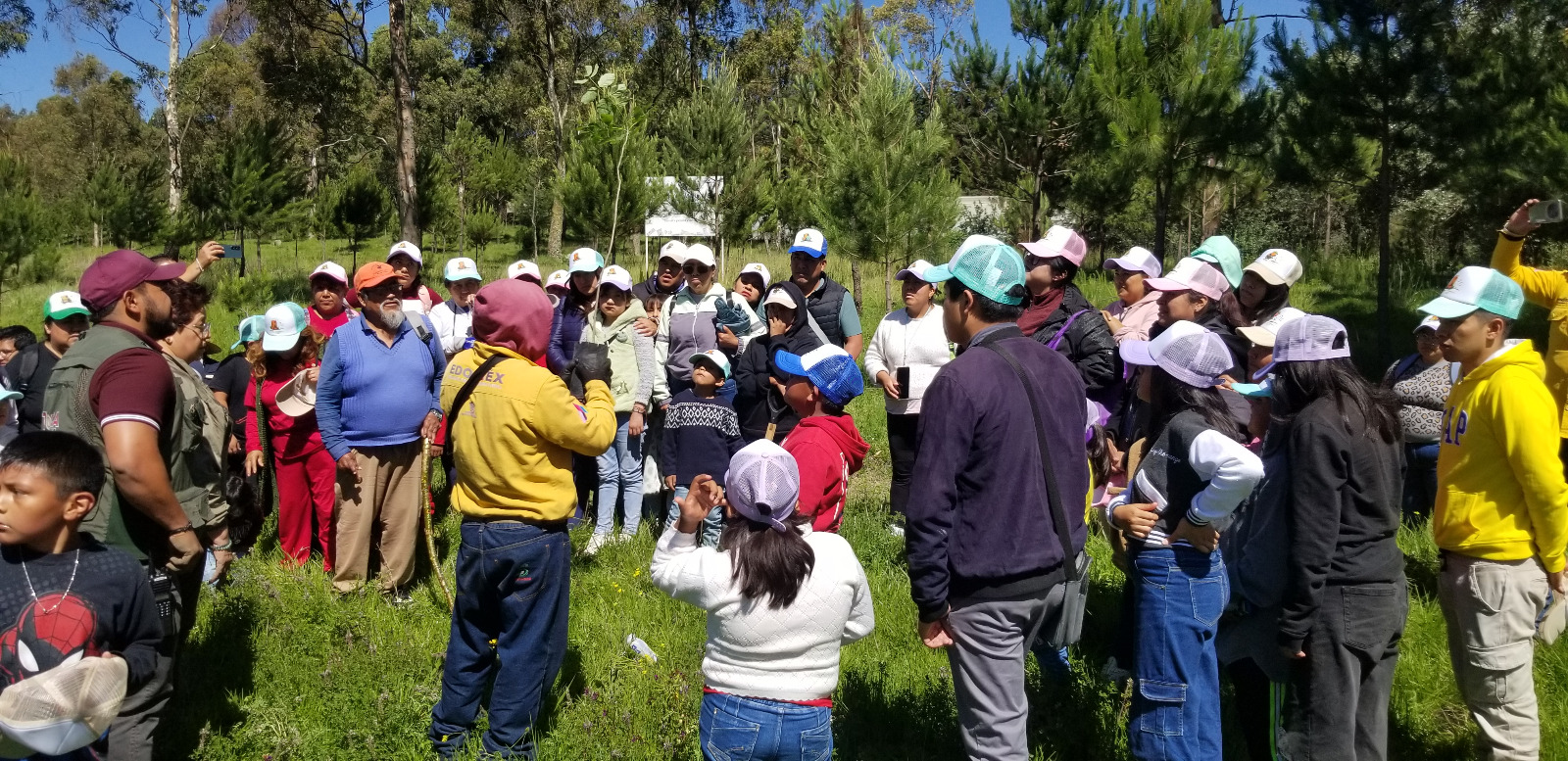 Avanza reforestación y planta Toluca más de mil 600 árboles