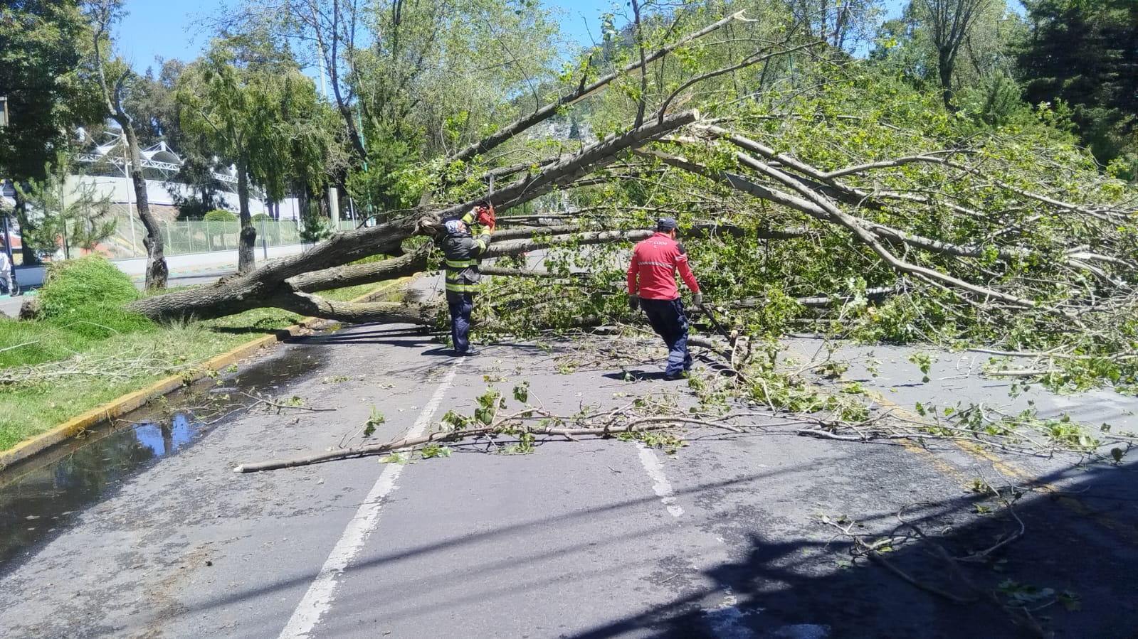 Atiende Gobierno municipal afectaciones por lluvias