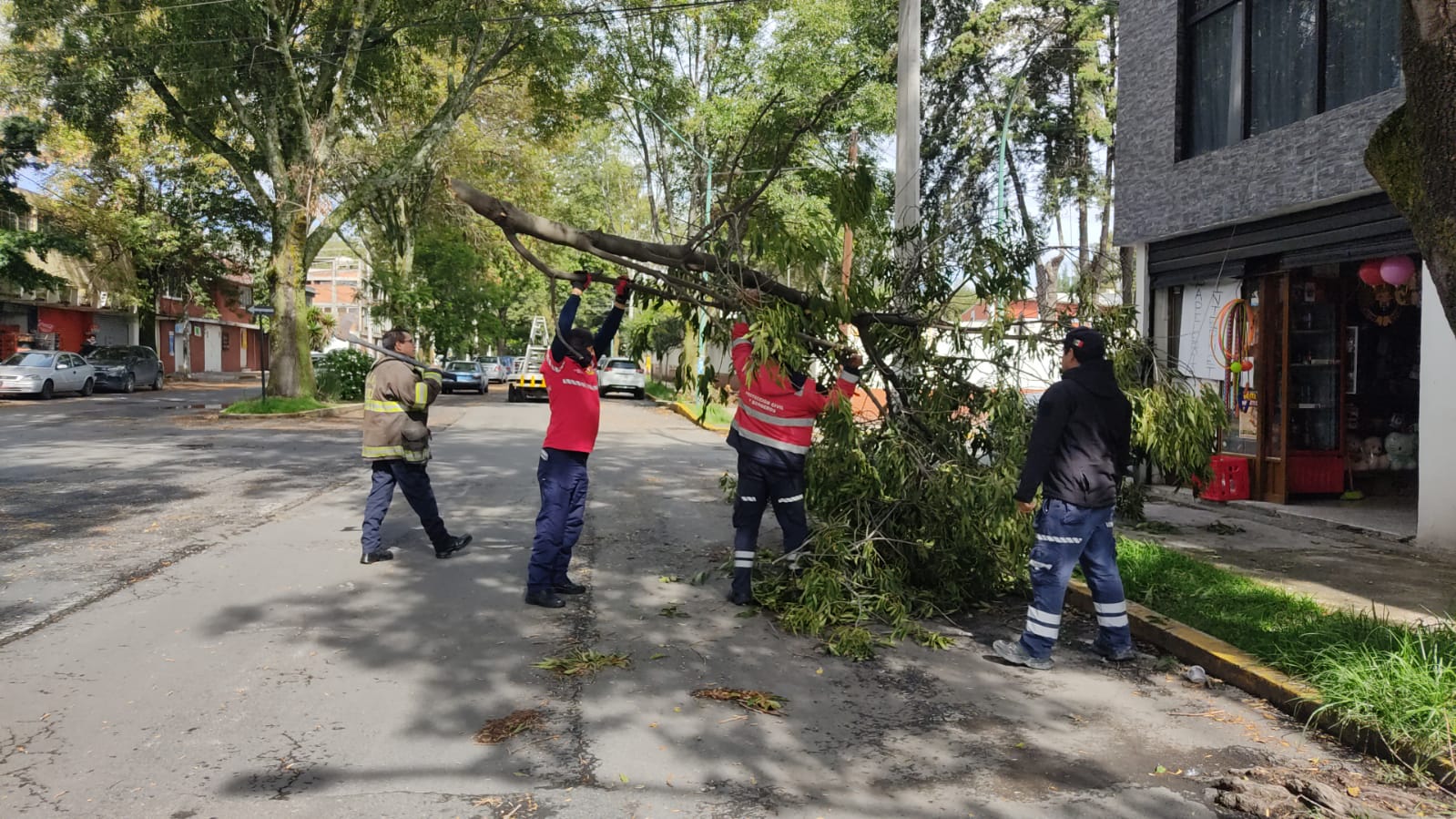 Atienden elementos de Protección Civil incendio y caída de árbol en Toluca