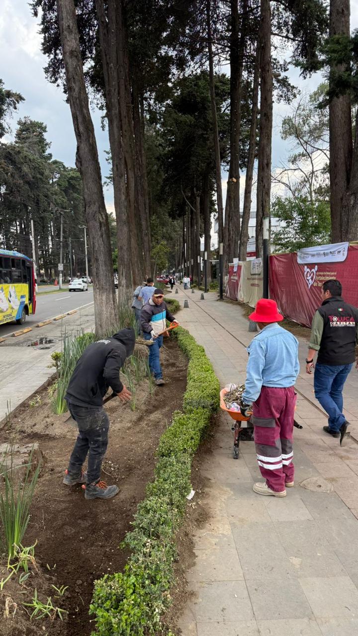 Recupera Gobierno municipal Paseo Colón en favor de la movilidad y seguridad de los habitantes deToluca