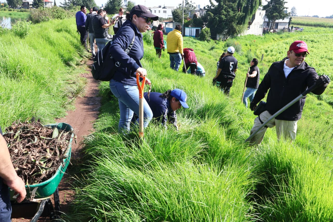 Recupera Ricardo Moreno espacios verdes con estrategia de arborización histórica