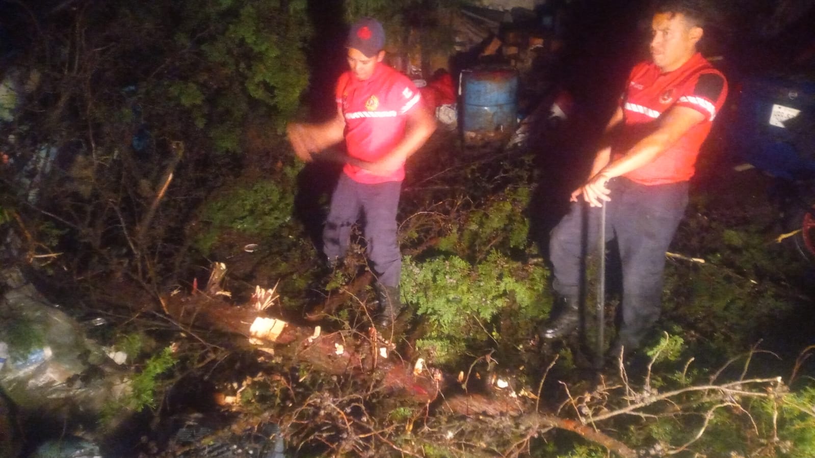 Atiende Toluca reportes por lluvias y caída de árboles en distintos puntos