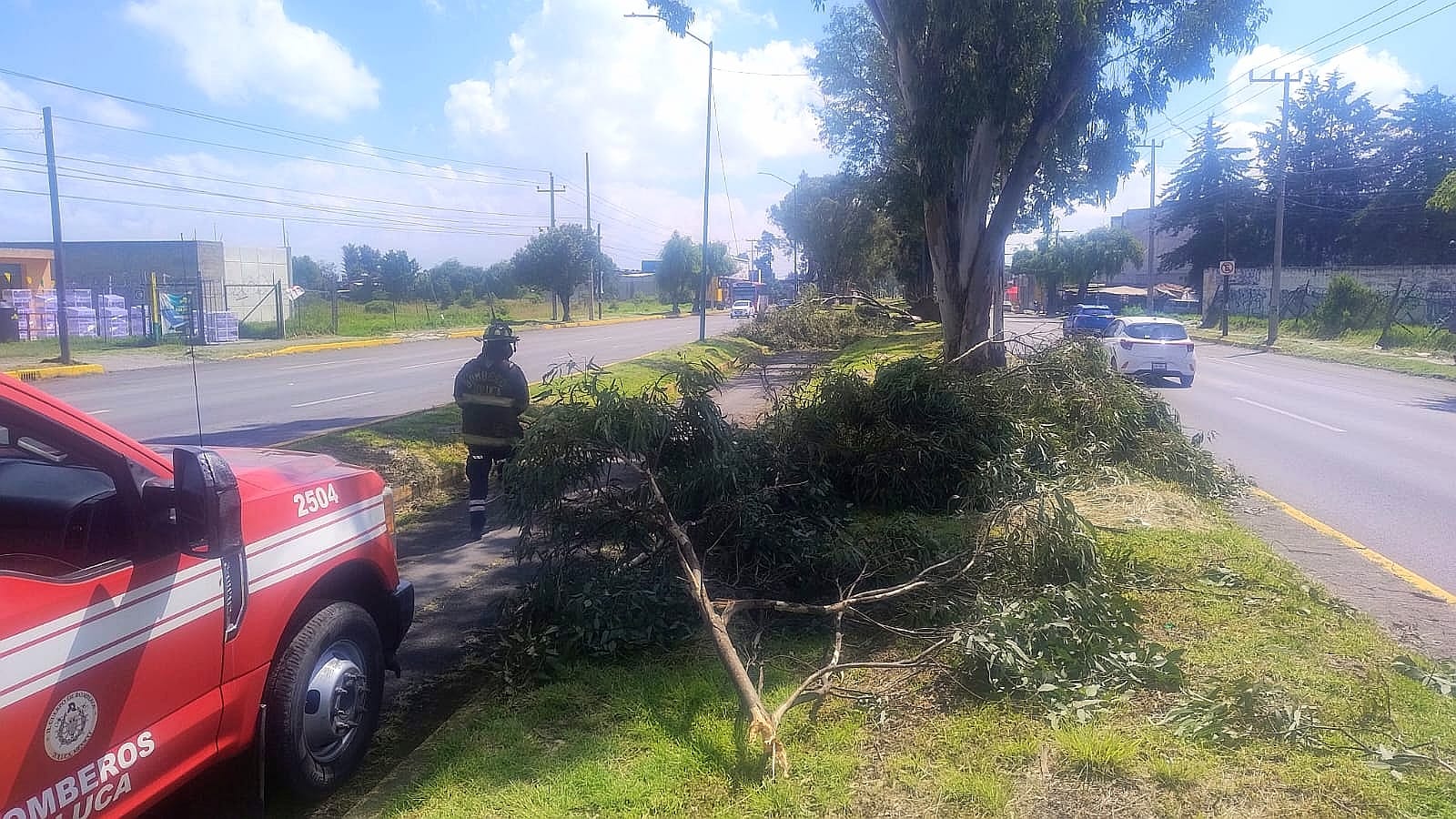 df1fe245-a523-49cf-8472-e4f9ae292e81 Continúan brigadas municipales con el retiro de árboles derrumbados por lluvias en Toluca