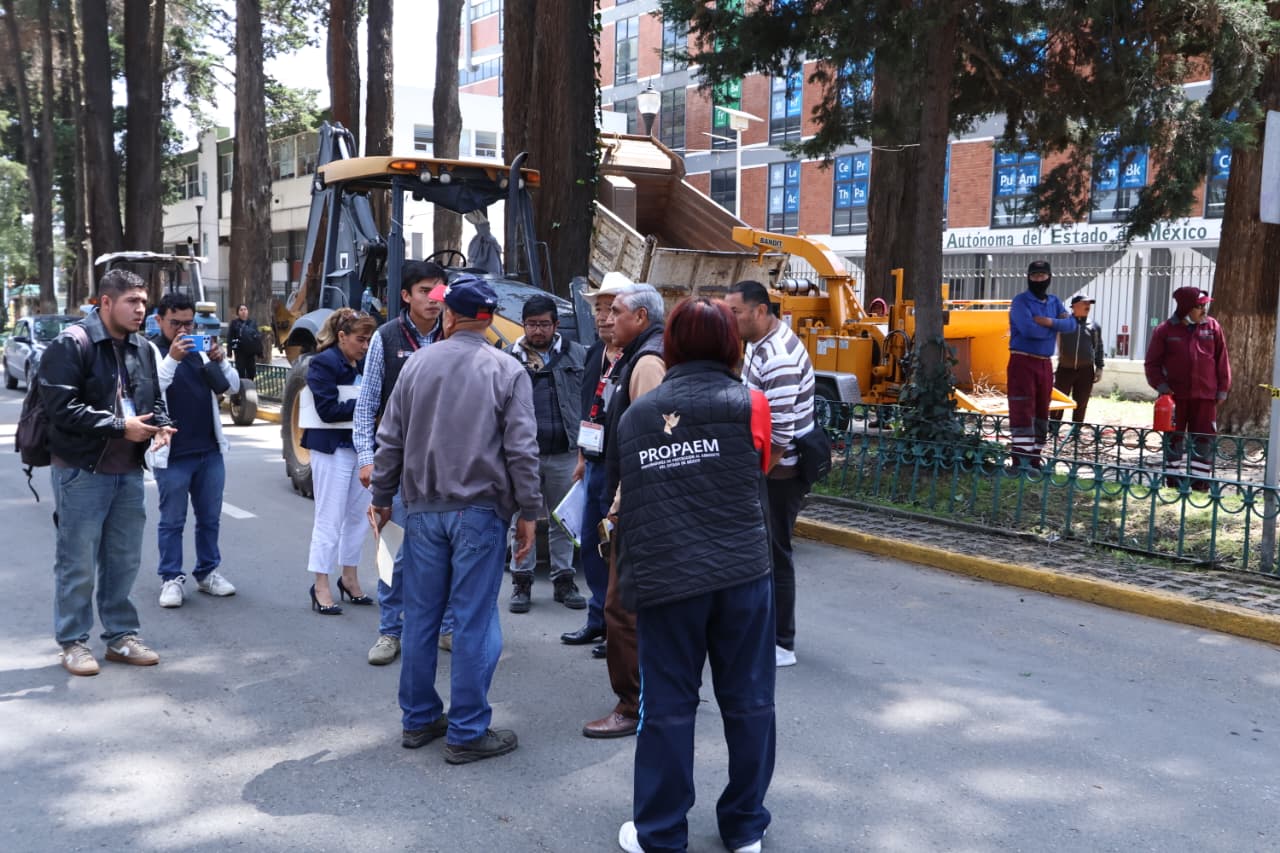 f818105e-0e6f-4283-8dc9-09a335e386bd Antepone Ricardo Moreno la protección de la población con el retiro de árboles secos en Paseo Colón