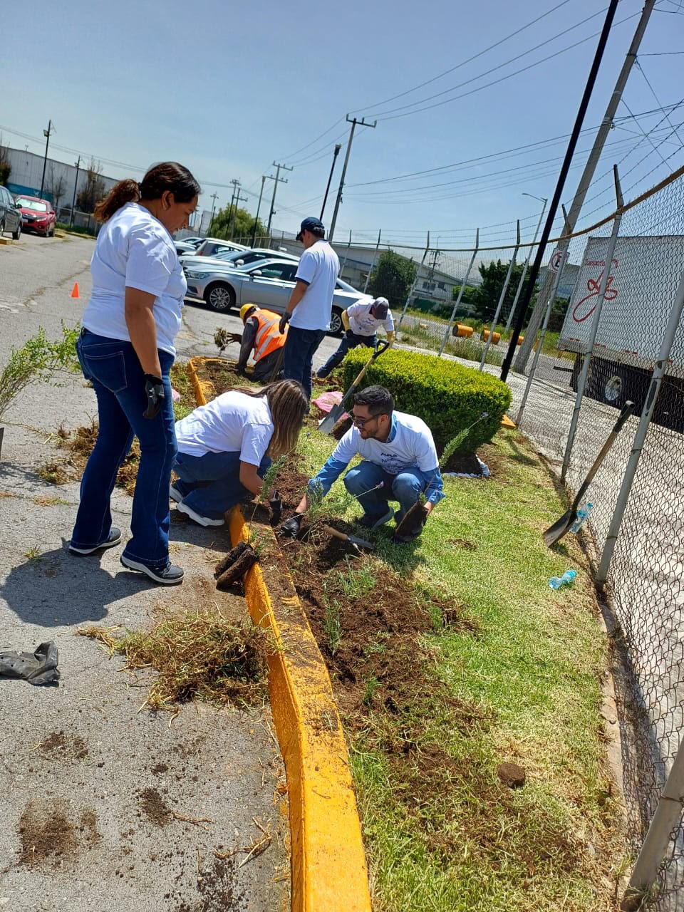 Avanza Toluca en la creación de jardines polinizadores, fomenta la recuperación de espacios públicos