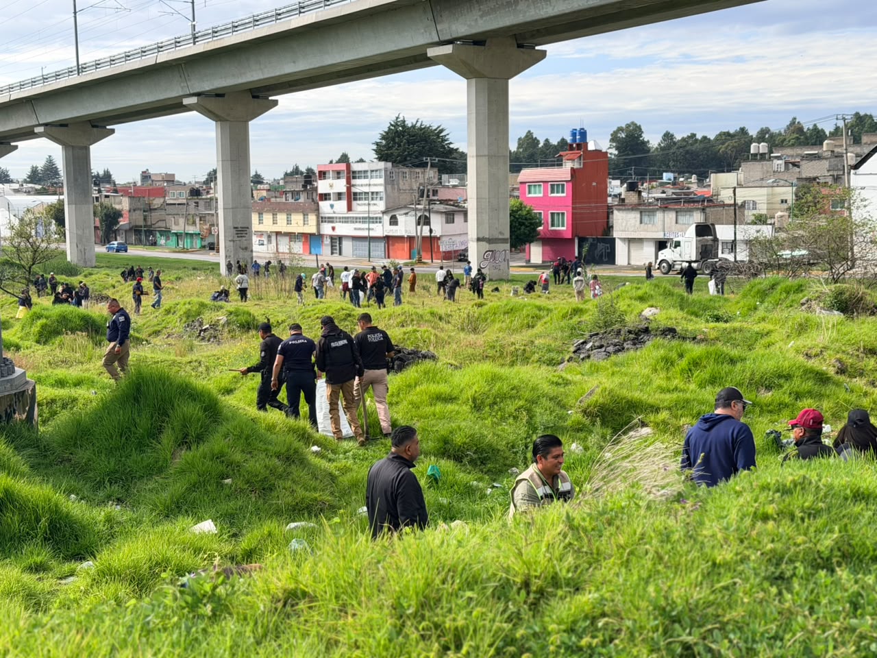 Toluca se pone guapa y más verde con la plantación de 12 mil árboles este fin de semana