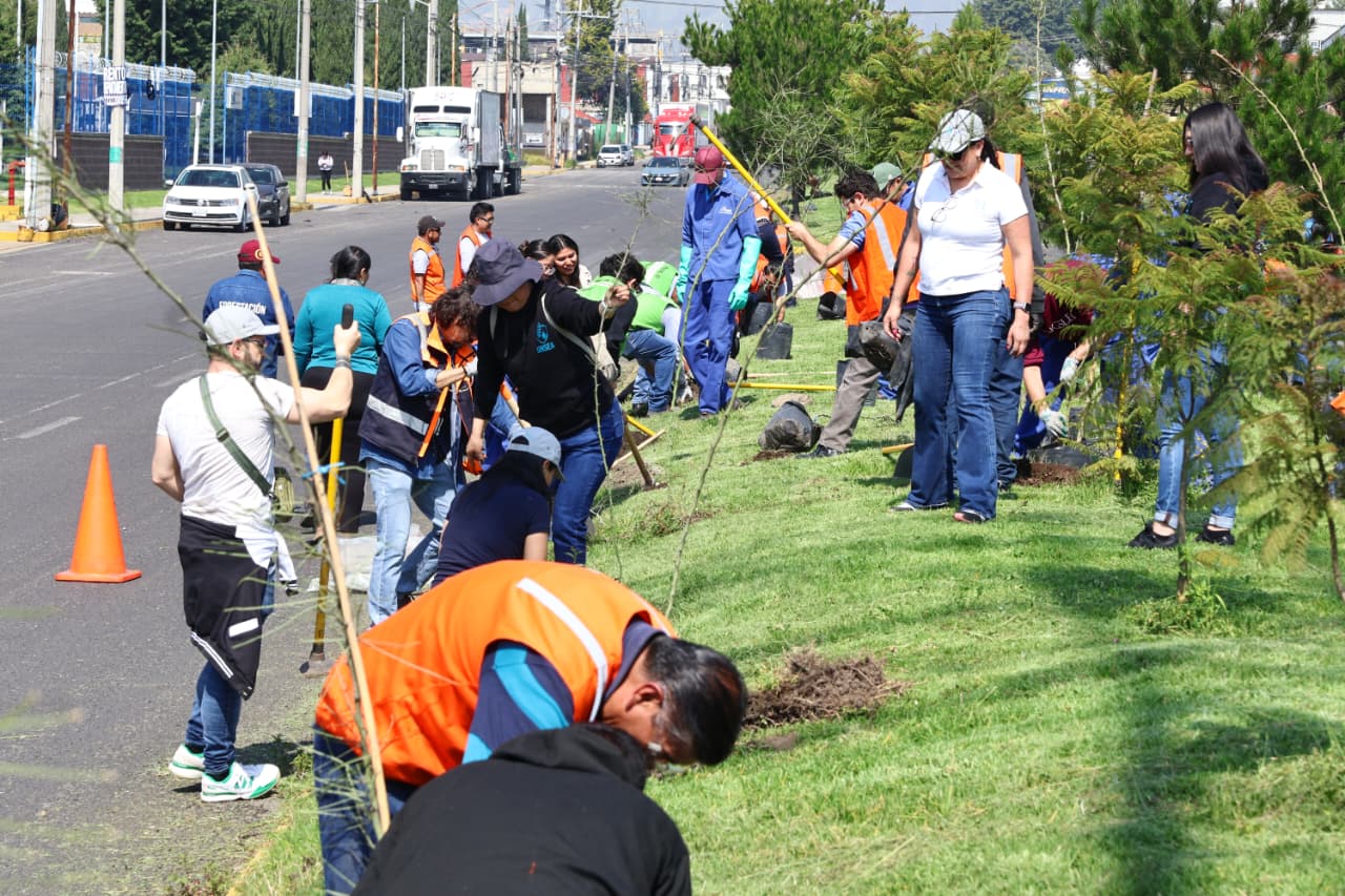 Fortalece Ricardo Moreno acciones de arborización para mitigar islas de calor urbanas