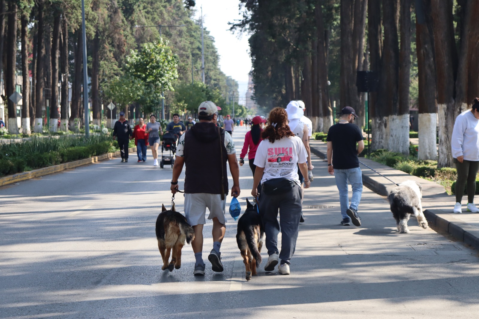 Invita Gobierno municipal a disfrutar la versión extendida de Toluca Recreativa en Paseo Colón