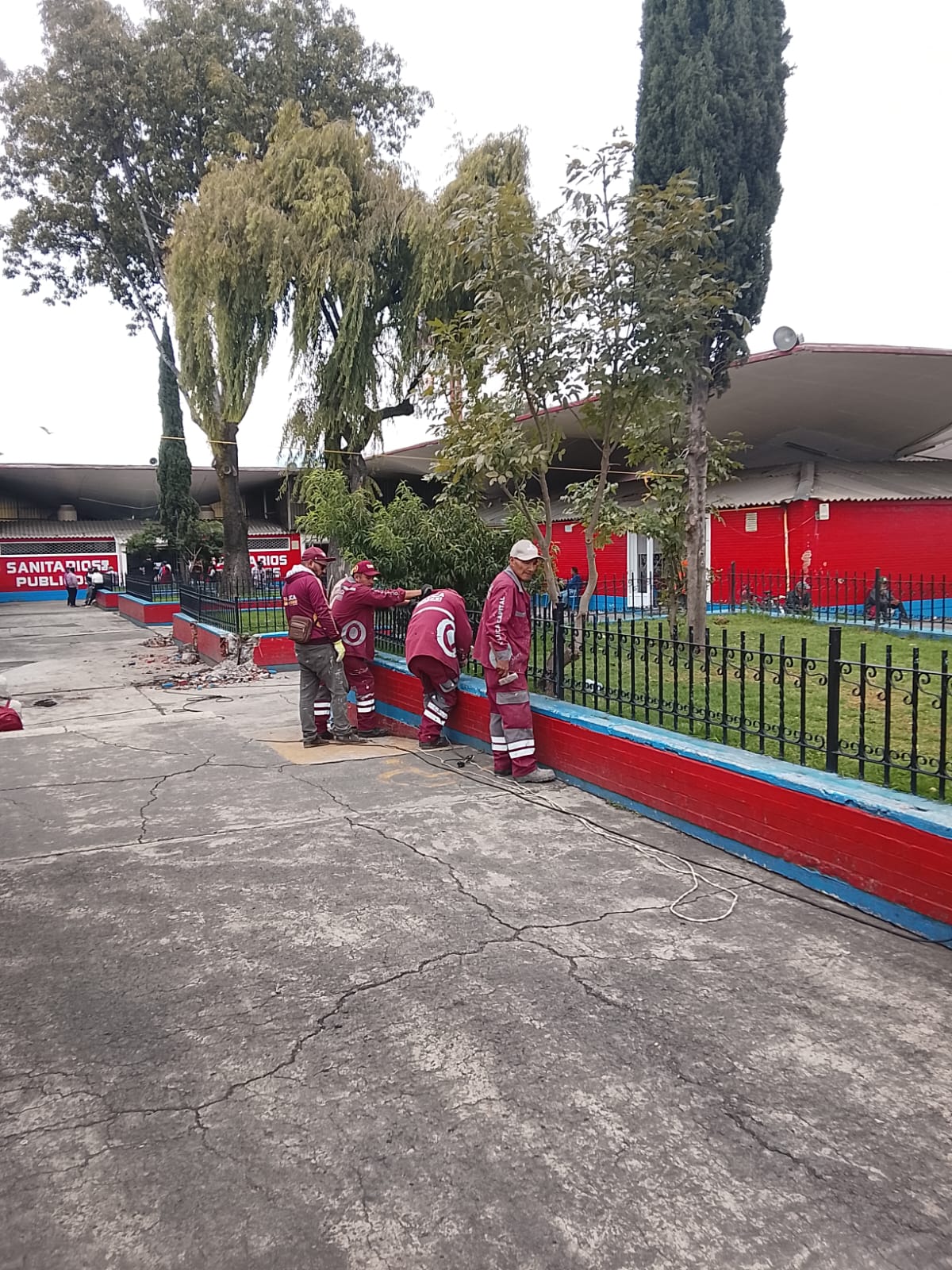 Entra Gobierno municipal al rescate del Mercado Juárez para acabar con plagas y mantener arbolado: Ricardo Moreno