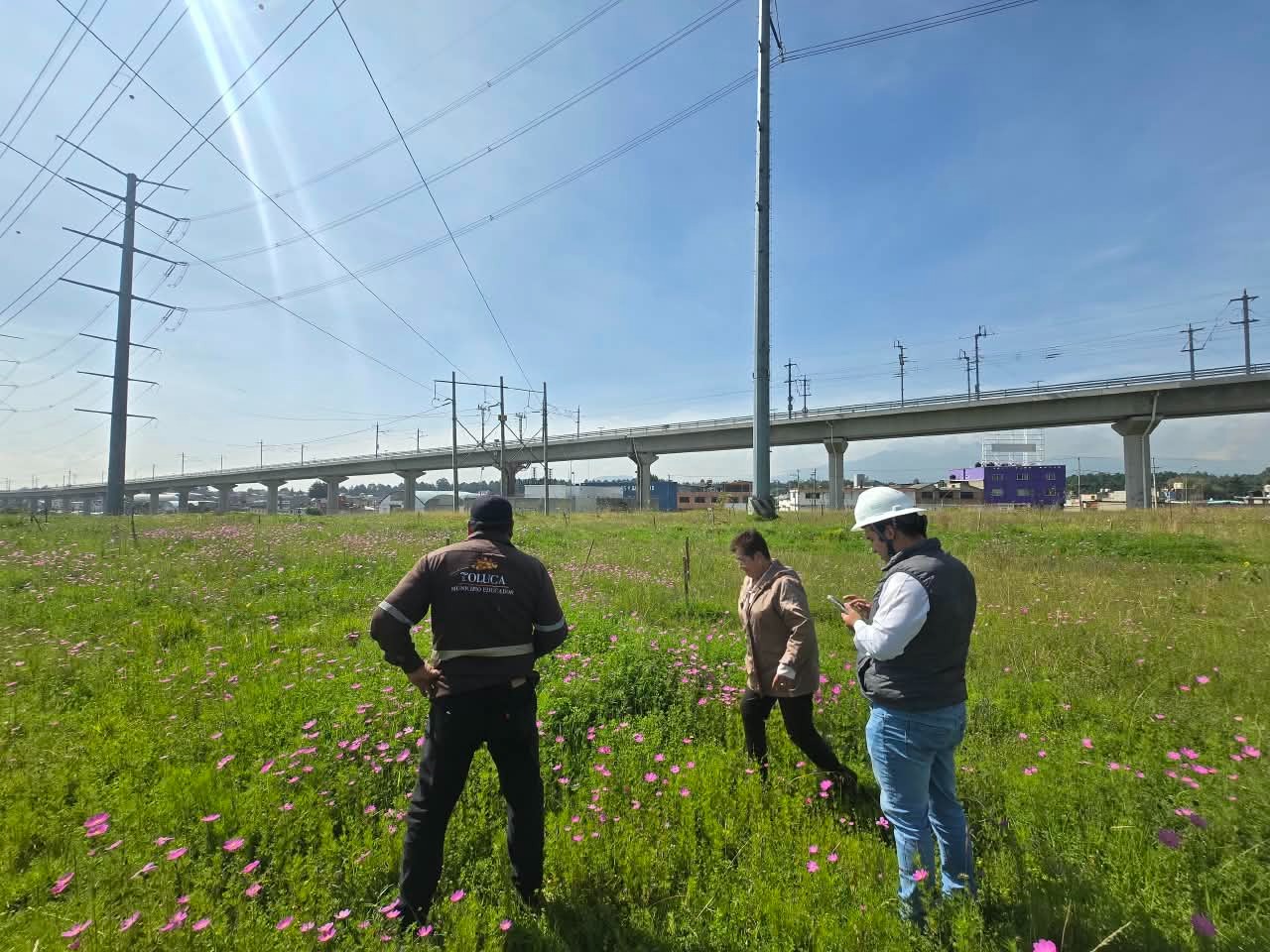 c39c18e0-c02c-45ba-be2f-277e658e4212 Supervisa Toluca y CFE plantaciones recientes de árboles en vialidad las Torres, para garantizar su crecimiento